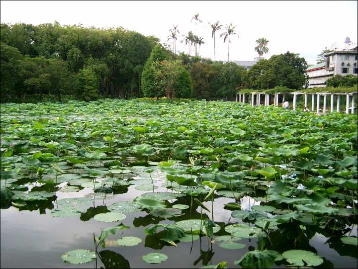 台北植物园