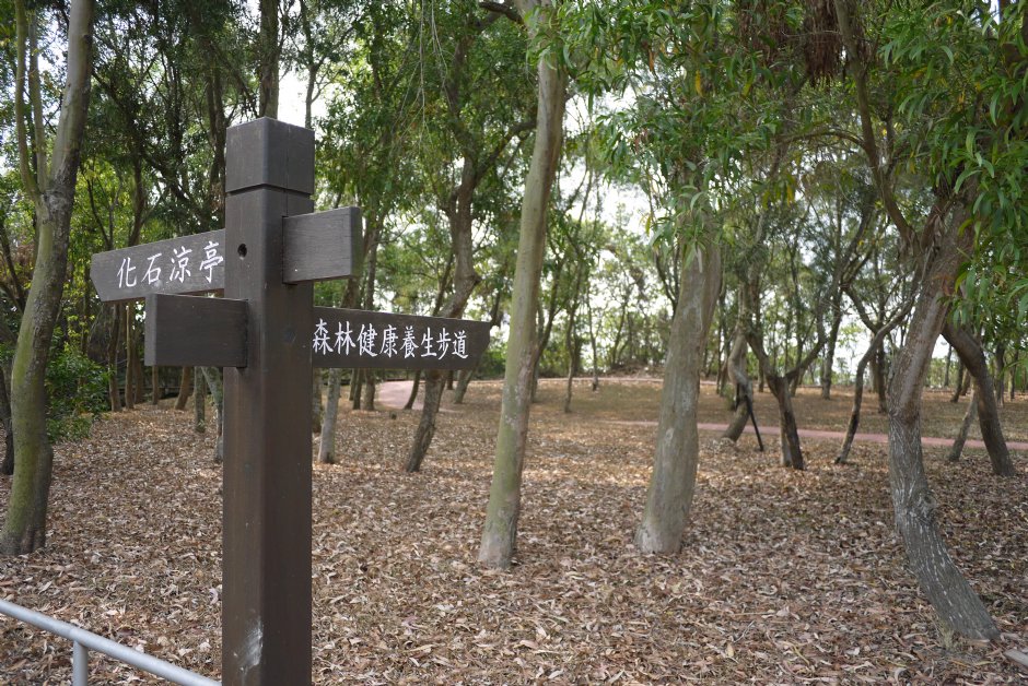 大岗山风景区