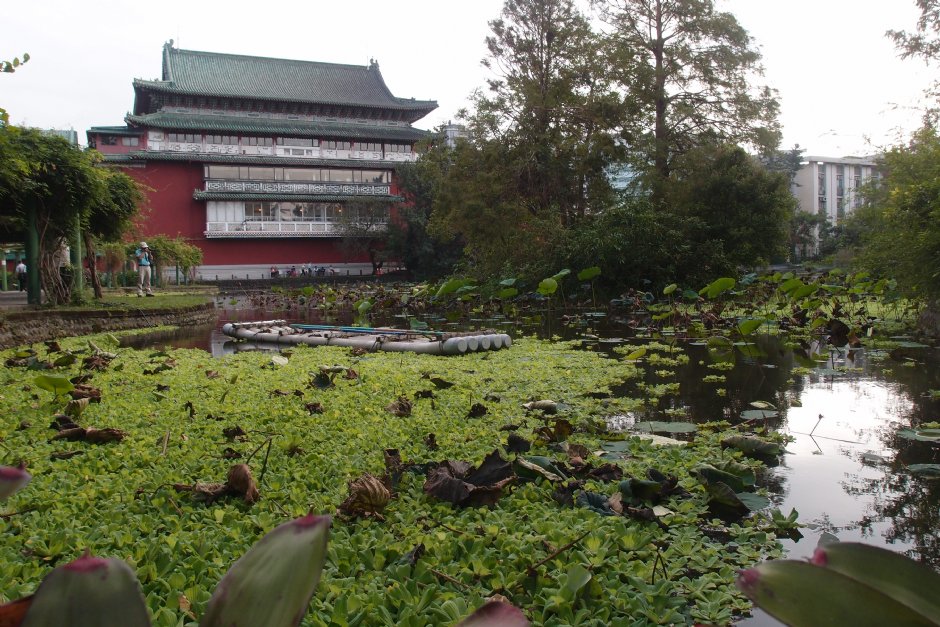 台北植物园