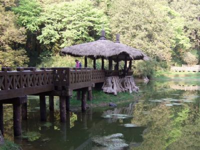 (Chiayi) Alishan invites all Travelers to Enjoy a Cool Summer-Taiwan ...