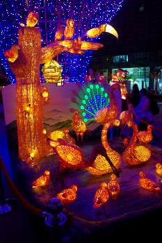 Taiwan Lantern Festival (Photo: Eva P.)