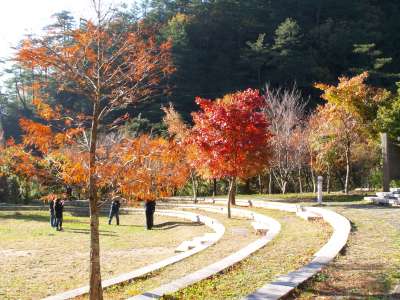 武陵農場裡滿是紅楓綠葉，相互交織成美麗的畫