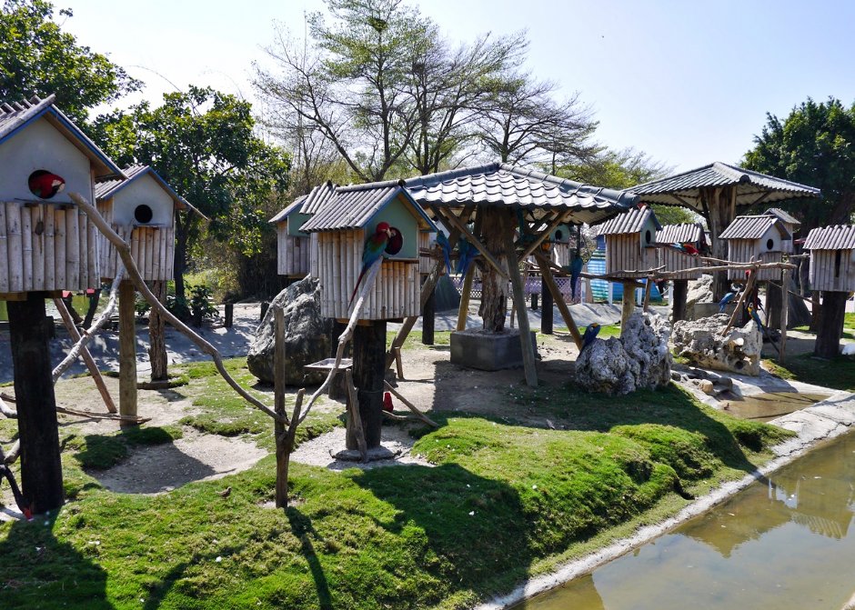 位於台南學甲的「頑皮世界」是南台灣最大的野生動物園