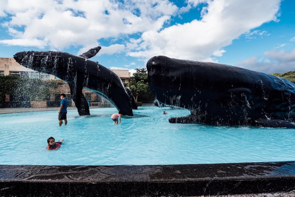 深受大小朋友喜愛的鯨魚廣場戲水池已開放