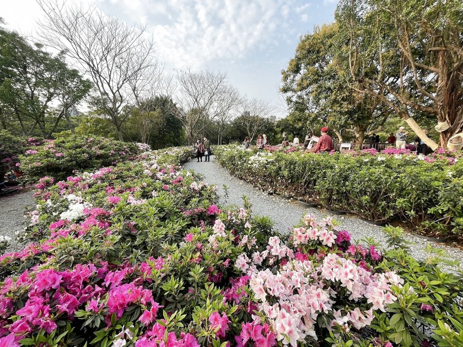 大安森林公園內的「杜鵑冶園」是2021年啟用的賞花專區