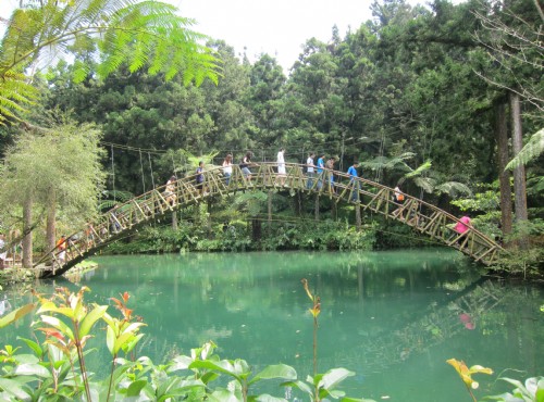 Xitou Nature Education Area (Xitou Forest Recreation Area)
