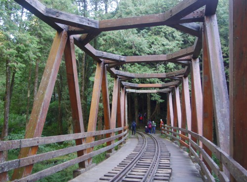 水山巨木步道-仿古木棧橋