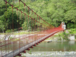 观林吊桥