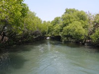 Sihcao Green Tunnel