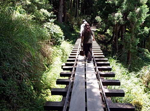 太平山國家森林遊樂區-完整的鐵軌步道