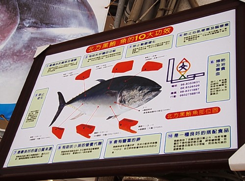 東港漁業文化展示館-北方黑鮪魚的10大功效