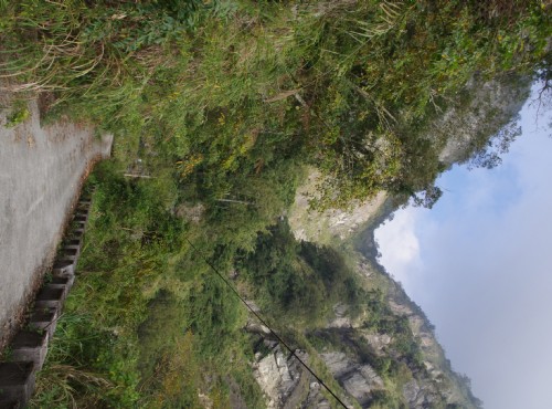 石壁生態休憩園區 阿里山旅遊景點 阿里山旅遊網 旅遊王travelking