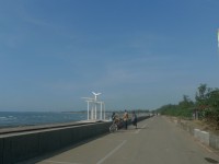 Xinwu Green Corridor Bike Lane