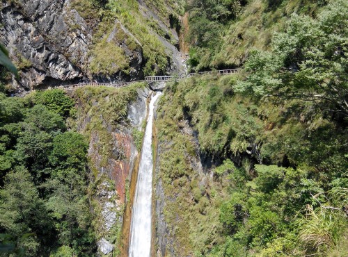 八通關古道 阿里山旅遊景點 阿里山旅遊網 旅遊王travelking