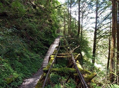 太平山國家森林遊樂區-原始步道