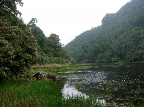 鴛鴦湖-自然植物保留區