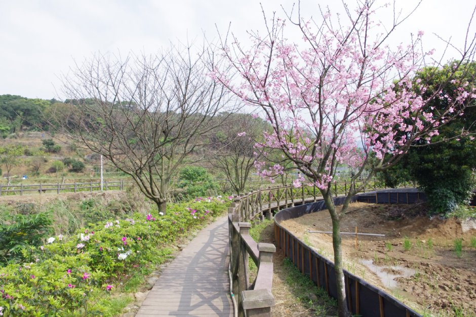 三生步道 三芝區 新北市 台灣旅遊資訊 旅遊導覽 Travelking旅遊王