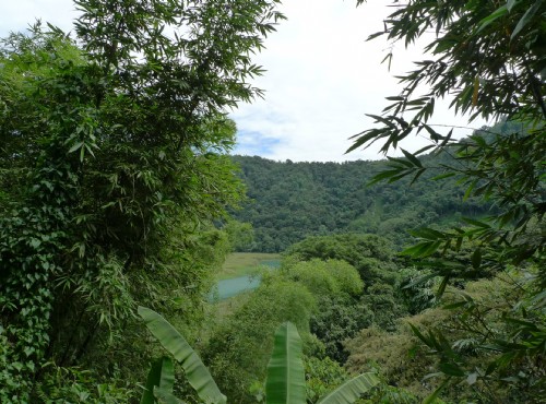 大竹湖步道-走在水蛙頭步道即可見大竹湖景觀