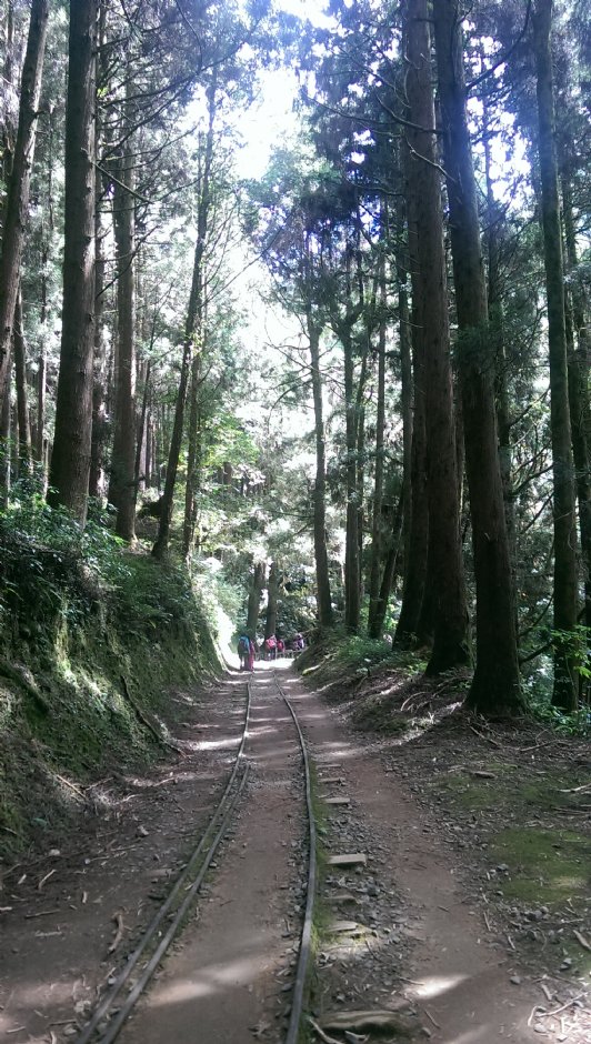 特富野