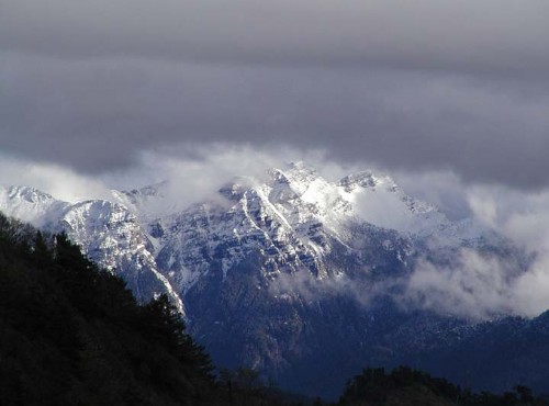 雪霸休閒農場-冬之山景