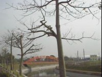 北斗河滨公园