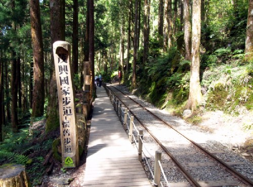 太平山國家森林遊樂區-茂興國家步道