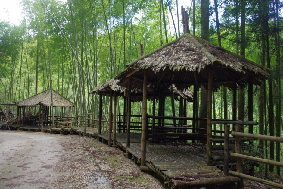 雲林 悠遊竹海杉林 石壁羊咩寮高空棧道 木馬古道 五元二角園區 雲嶺之丘 番子田山 O形 上 健行筆記