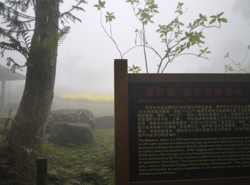 Xitou Nature Education Area (Xitou Forest Recreation Area)-溪頭草坪區