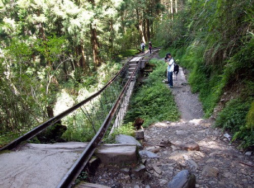 太平山國家森林遊樂區-吊橋連接舊鐵道