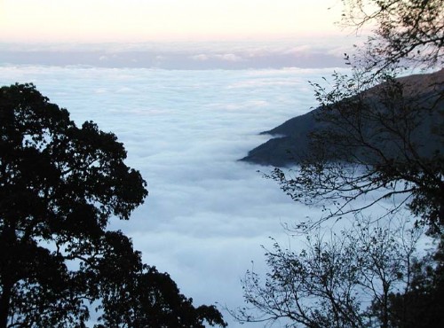 雪霸休閒農場-雲海美景