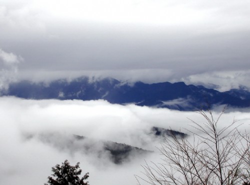 太平山國家森林遊樂區-雲海