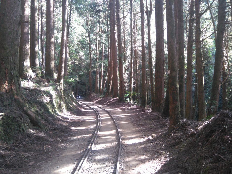 特富野