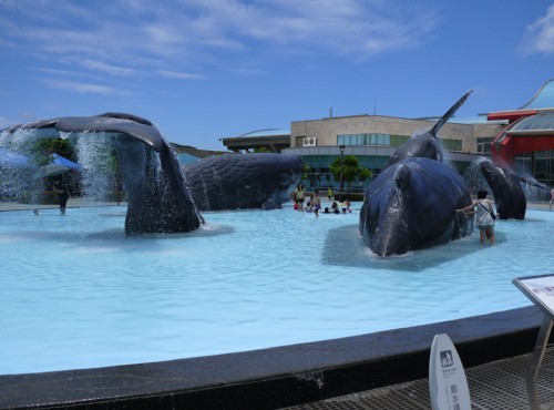 國立海洋生物博物館-鯨魚親水廣場