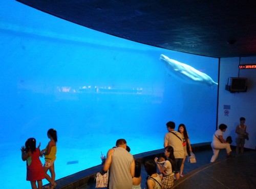 國立海洋生物博物館 墾丁旅遊景點 墾丁旅遊網 旅遊王travelking