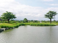 台開心農場(洄瀾灣開心農場) - 吉安鄉 - 花蓮縣 - 台灣旅遊資訊 - 旅遊導覽 | TravelKing旅遊王