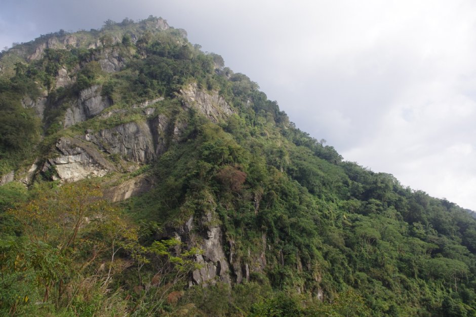 石壁生態休憩園區 古坑鄉 雲林縣 台灣旅遊資訊 旅遊導覽 Travelking旅遊王