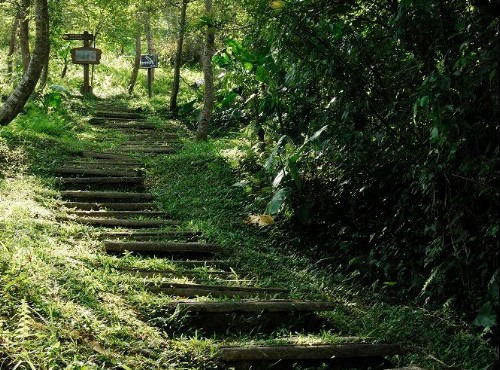 池南國家森林遊樂區-森林浴步道