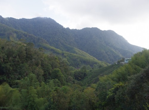 石壁生態休憩園區 阿里山旅遊景點 阿里山旅遊網 旅遊王travelking