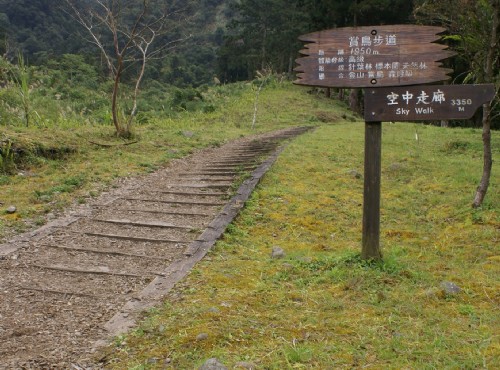 Xitou Nature Education Area (Xitou Forest Recreation Area)-溪頭自然教育園區