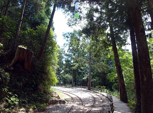 太平山國家森林遊樂區-鐵道風光