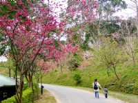 Dongshi Forest Garden (Tungshih Forest)