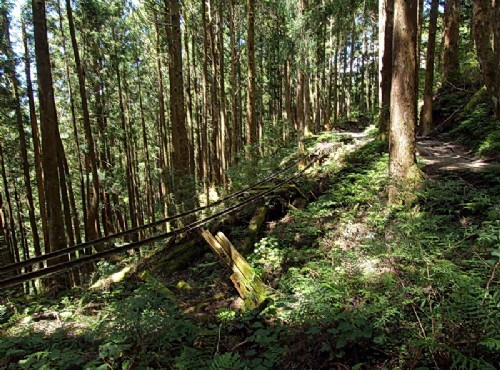 太平山國家森林遊樂區-已廢棄森林鐵道