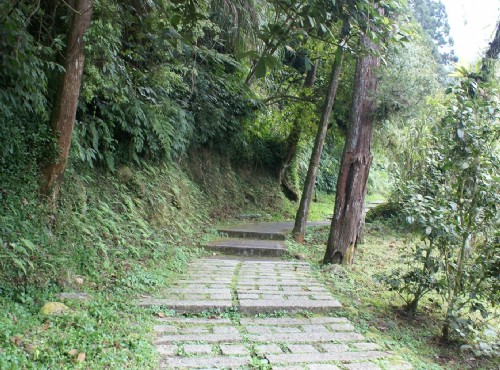 Xitou Nature Education Area (Xitou Forest Recreation Area)-溪頭自然教育園區