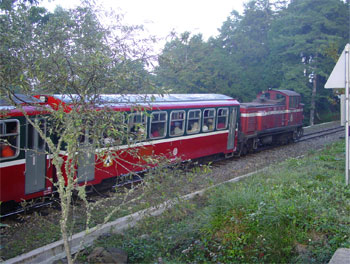 阿里山火車 (圖片提供：陳銘祥)