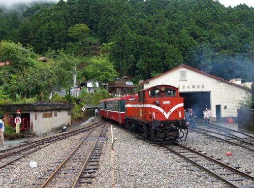 三月賞櫻季： 阿里山櫻花季啟動！懷舊鐵道之旅帶您漫步山林間