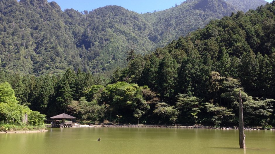 翠綠的明池湖畔是森林中的高人氣拍照區 / 陳皮梅 提供
