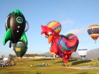 熱氣球、飛行傘 來台東實現翱翔天際的夢想